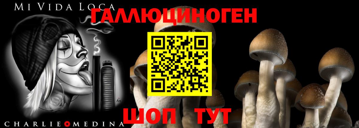 Псилоцибиновые грибы мухоморы  Вход с VPN  Галлюциногенные грибы GOLDEN TEACHER  Дубна 